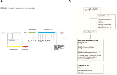 First step results from a phase II study of a dendritic cell vaccine in glioblastoma patients (CombiG-vax)